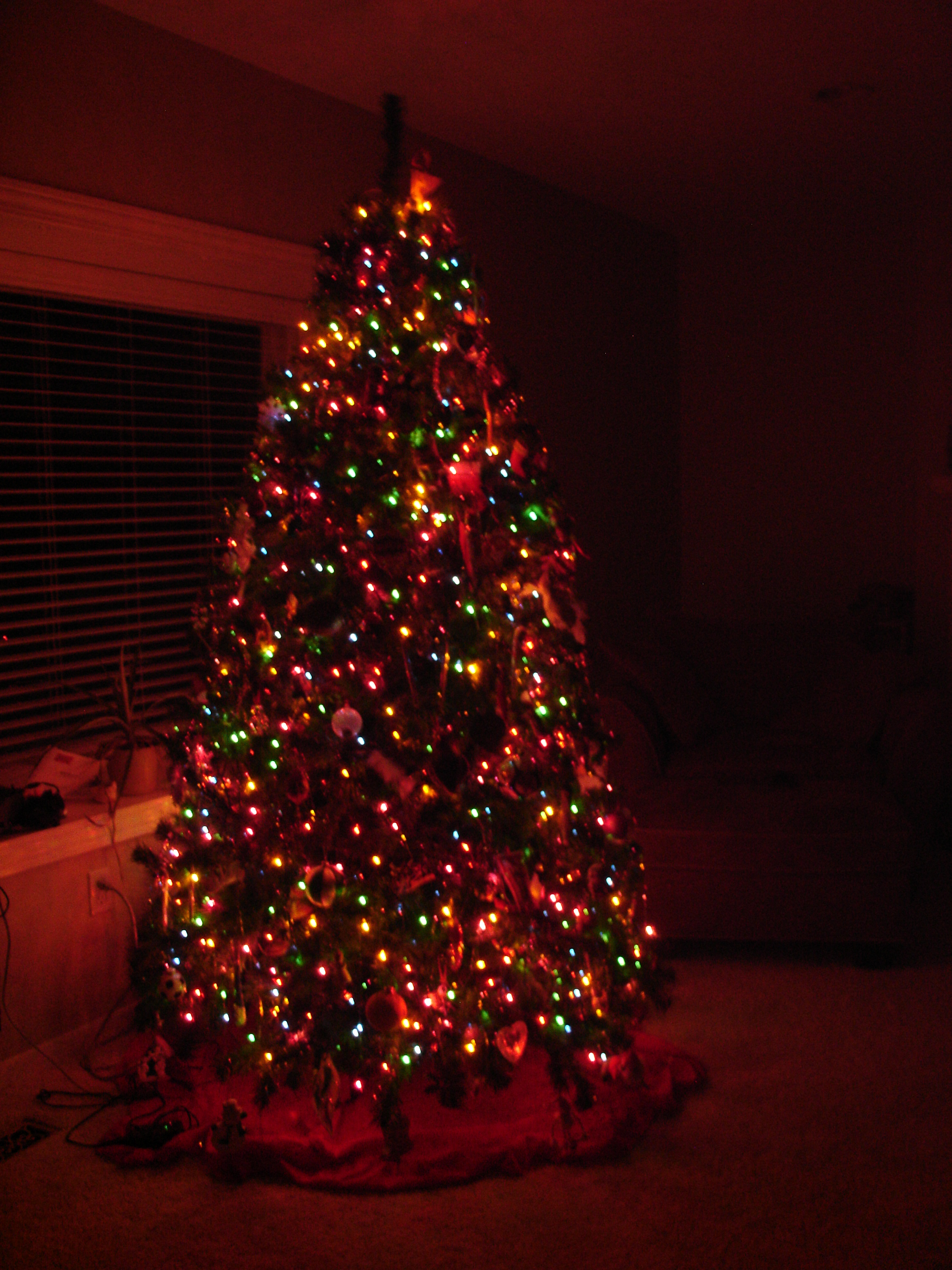 merry-christmas-come-take-a-peek-at-our-tree